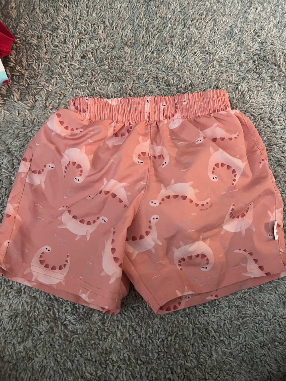 Green Sprouts Swim Trunks With Built in Diaper